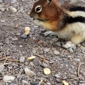 Meet your Posher, Mindi